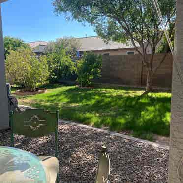 Room available to rent in Gilbert!