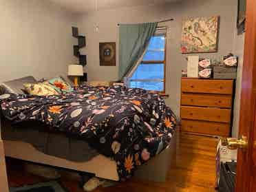 Seeking housemate in 
North End