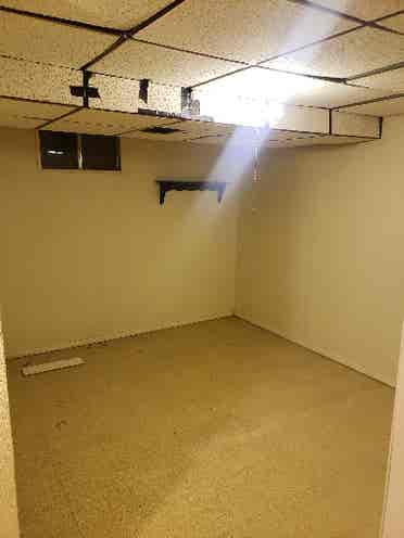 Cool peaceful basement available