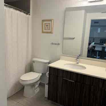 Beautiful room for rent Hallandale