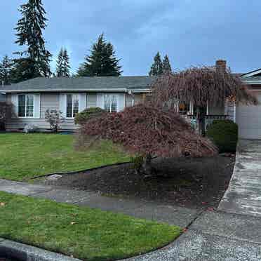 LYNNWOOD- Bedroom/Home Rental