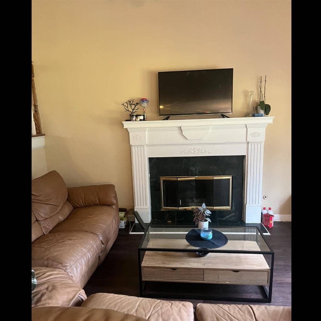 Female Roommate needed