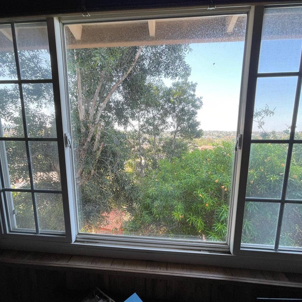 Room in shared house with view