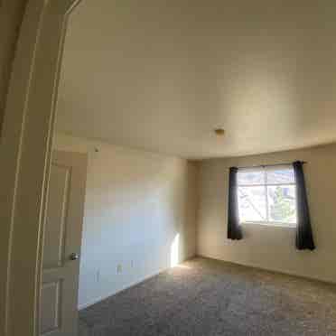 Room in Condo for Rent