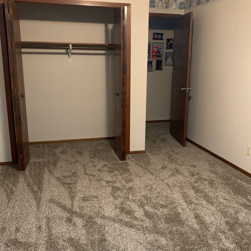 Female roommate wanted