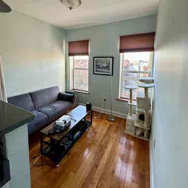 Rare Rent Stabilized Apartment ASAP