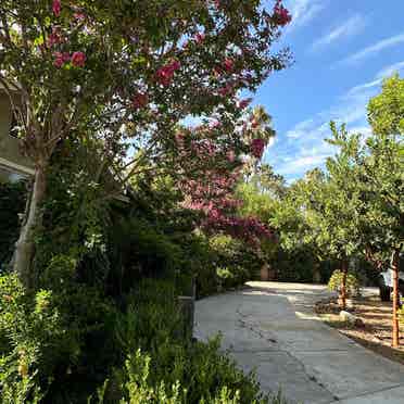 Beautiful Room in Canoga Park