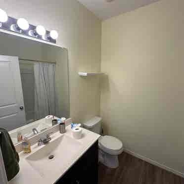 1 room with separate bathroom