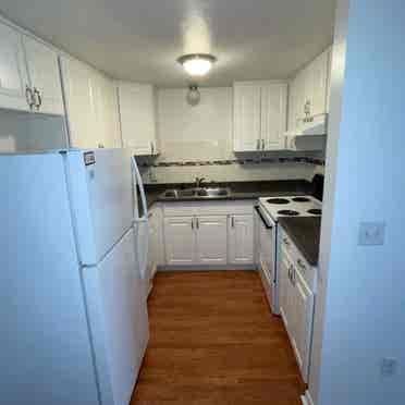 Remodeled 1 bedroom apartment (D5)