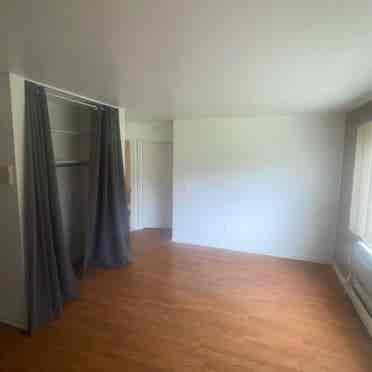 Remodeled 1 bedroom apartment (D5)