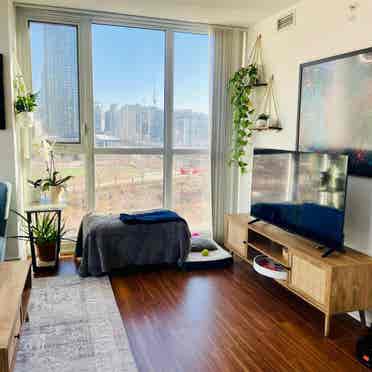 Peaceful room in bright cozy condo