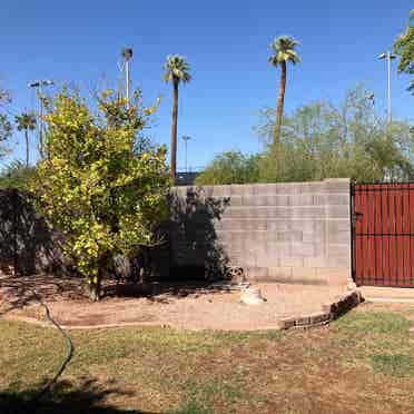 Room For Rent, In Tempe