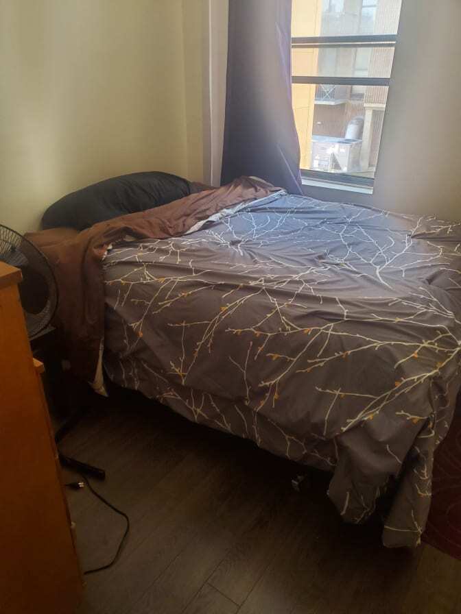 Looking for a male roommate DT