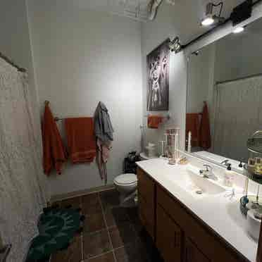 Studio Apt For Sublease Jan-Aug ‘