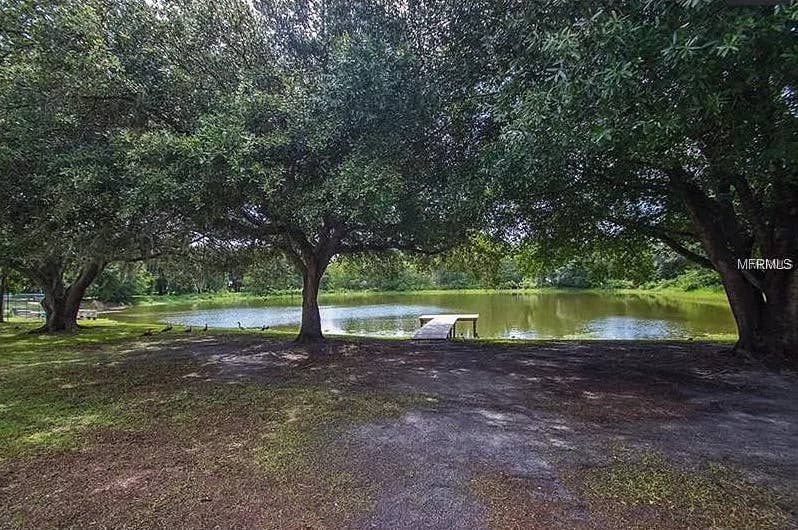 Lake House w/ dock - Manatee River