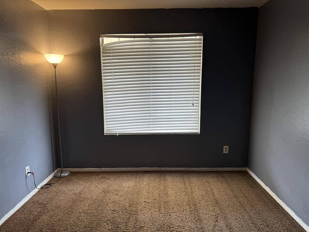 Downstairs Bedroom for rent