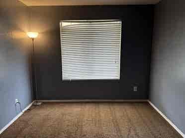 Downstairs Bedroom for rent