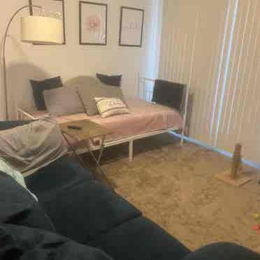 1 Room Available in Apartment