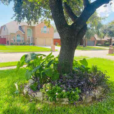 Room for rent La Porte Tx