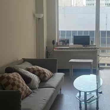 Large furnished apartment!