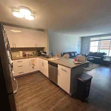 Open room in Carlsbad Village Apt