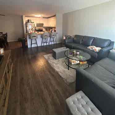 Open room in Carlsbad Village Apt