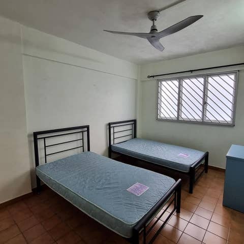 Room or whole unit for rent