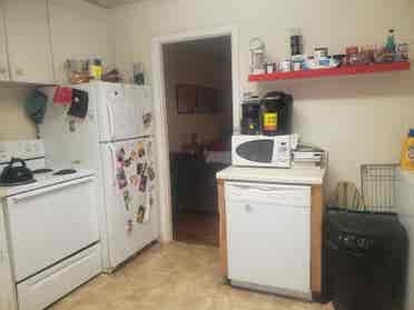 Female Roommate needed in 5 points