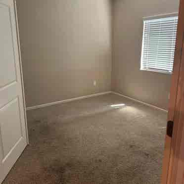 Roommate wanted in Oro Valley