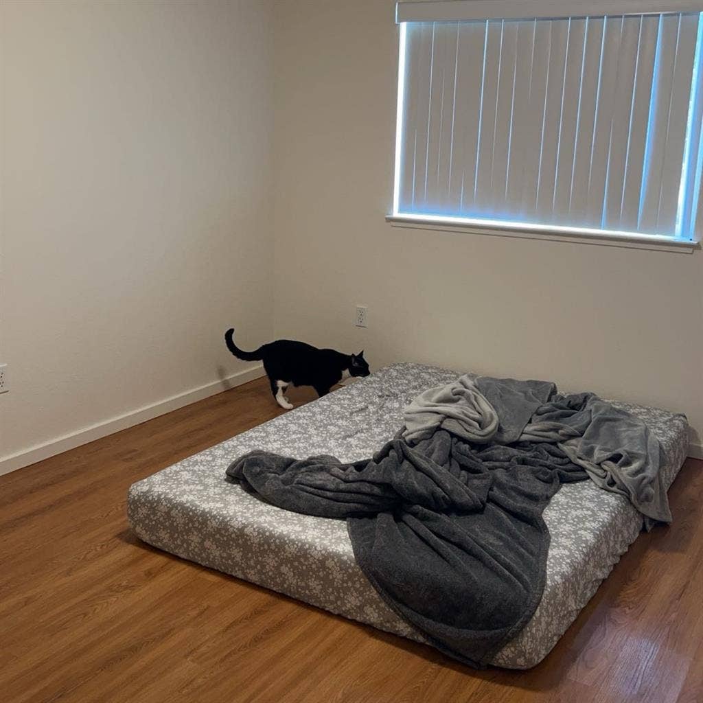 Looking for a female roommate