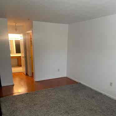 Spacious Room in LAUREL Townhouse