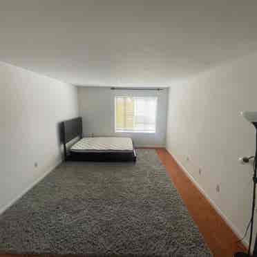 Spacious Room in LAUREL Townhouse