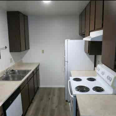 Room for rent in Loma Linda