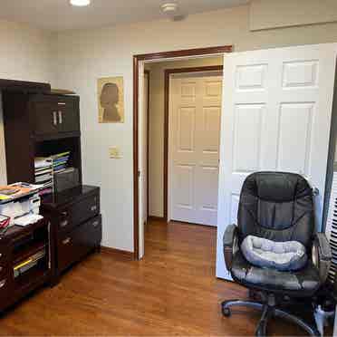 1st floor office/den/pull out couch