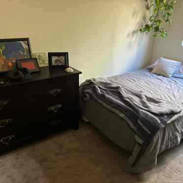 Furnished Sublease in North Park!!