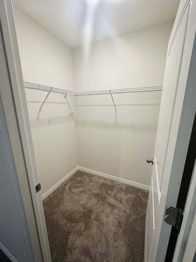 Bedroom with Walk-In Closet