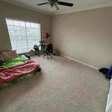 1 room available in a B (female)