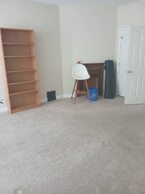 Looking for a dog friendly roommate