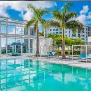 Beautiful Apt Midtown Miami