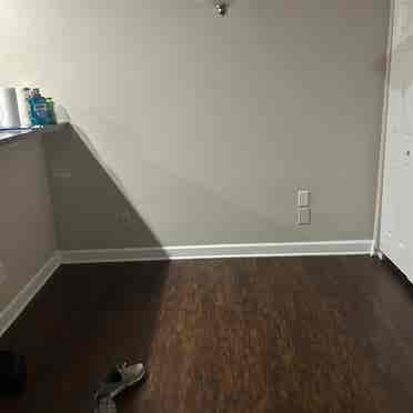 1 bd room appt in Lexington