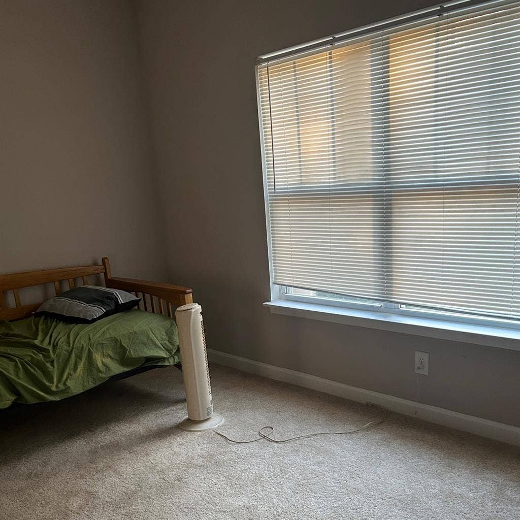 1 bd room appt in Lexington