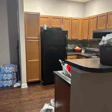 1 bd room appt in Lexington