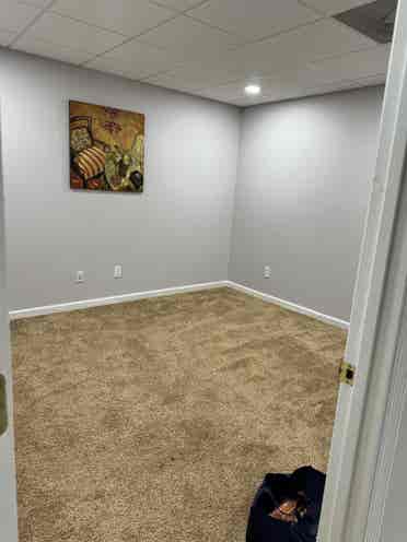 Entire basement with two bed rooms.