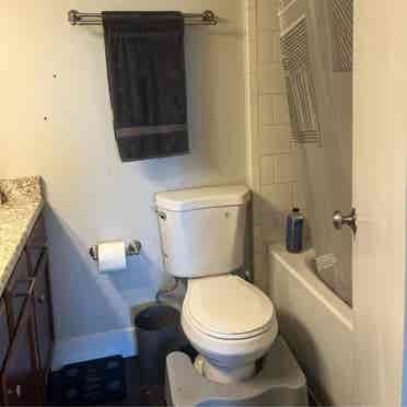 Roommate wanted in Cap Hill