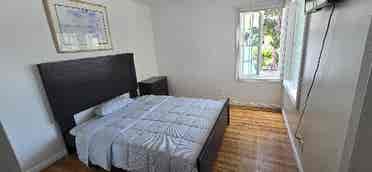 4 bed rooms available for rent