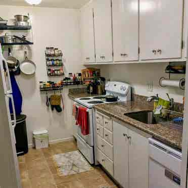 Furnished sublet in Oakland