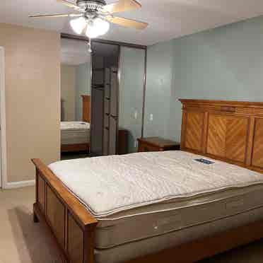 Looking for roommate in Royal Palm