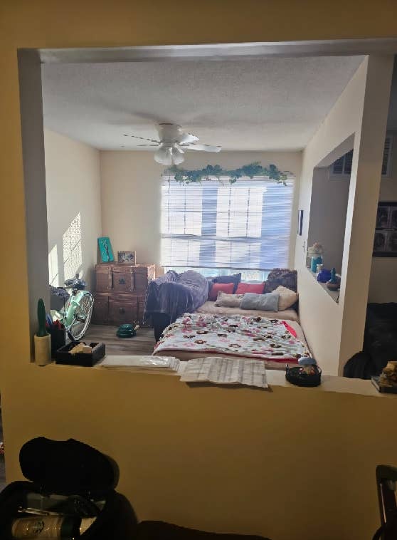 Looking for a roommate