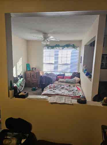 Looking for a roommate