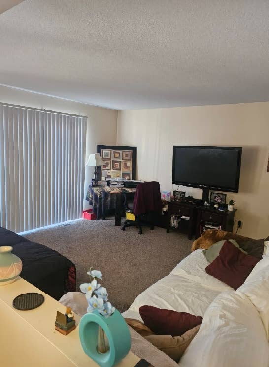 Looking for a roommate